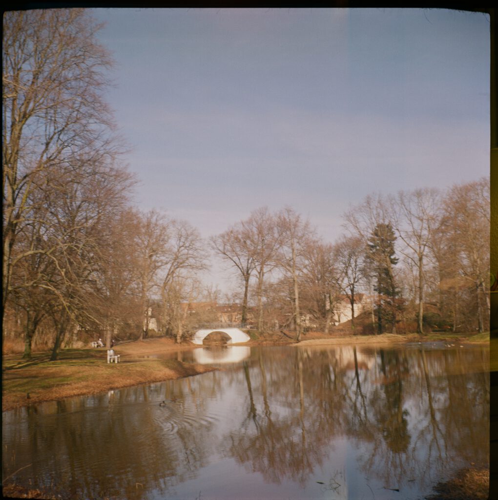 Blick auf den Senftenberger Park mit Brücke