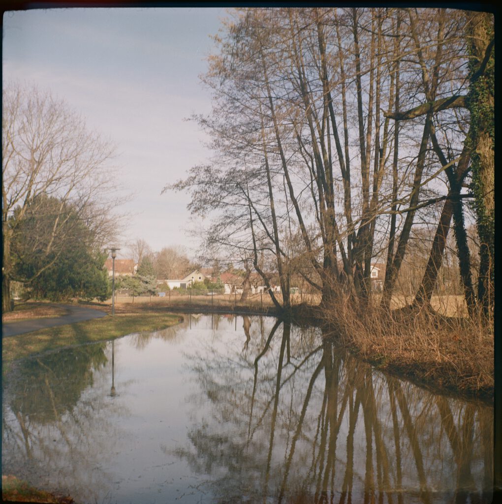 Blick auf den Senftenberger Schlosspark, Teich
