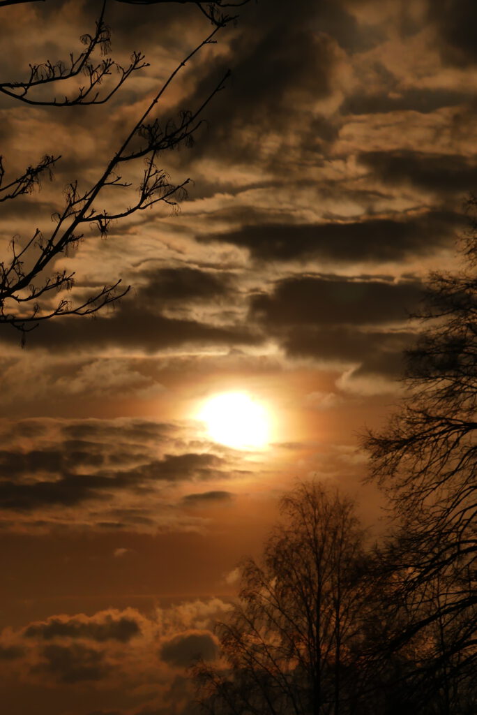 Sonne in Wolcken, am rand Bäume
