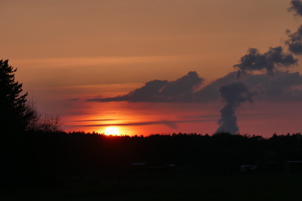 Die Sonne geht unter und mann sieht den rot orangen Himmel hinter den Bäumen, rechts sieht man Wolcken aus ein Kraftwerk steigen