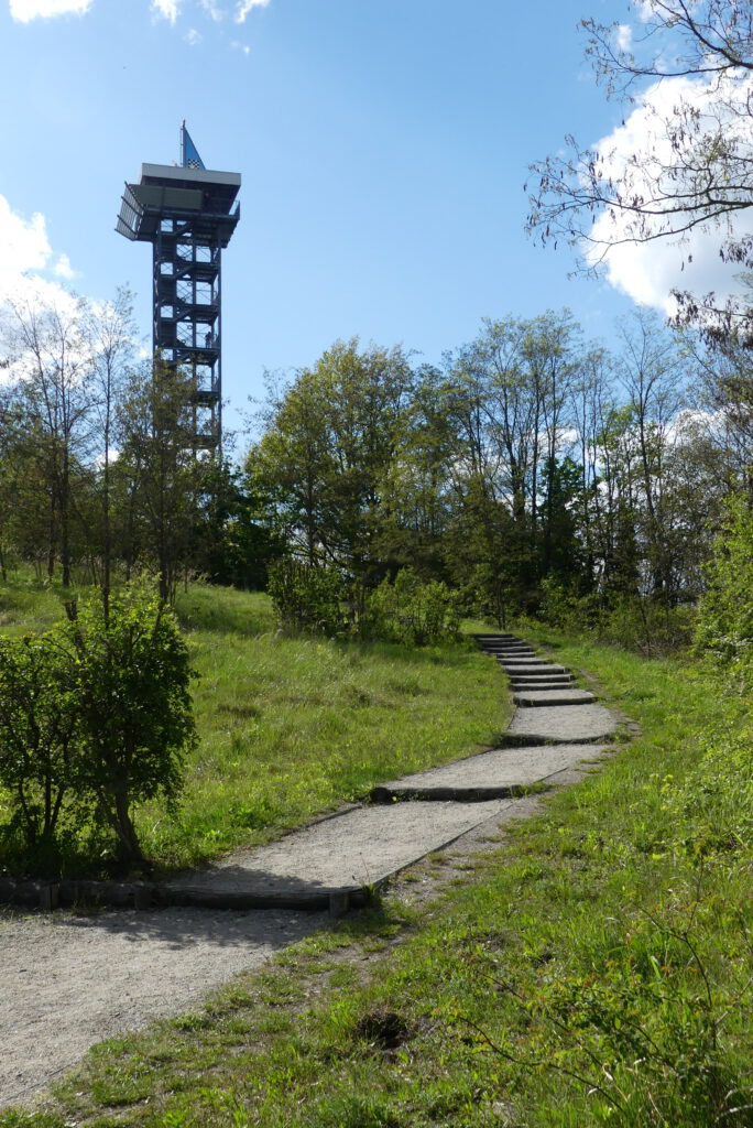 Weg zum Aussichtsturm Hörlitz