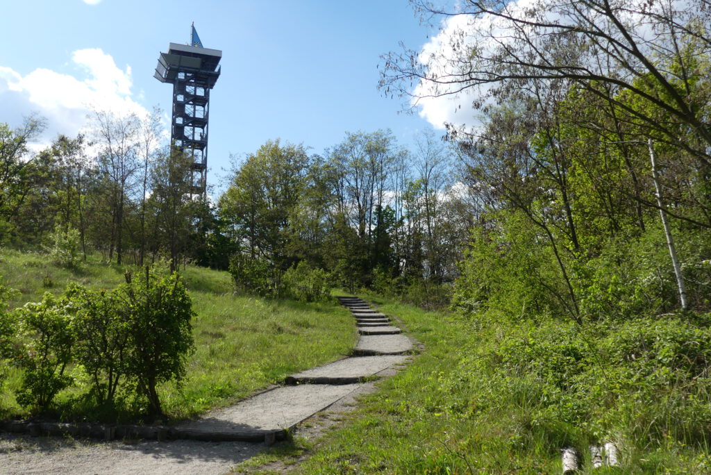 Weg zum Aussichtsturm Hörlitz