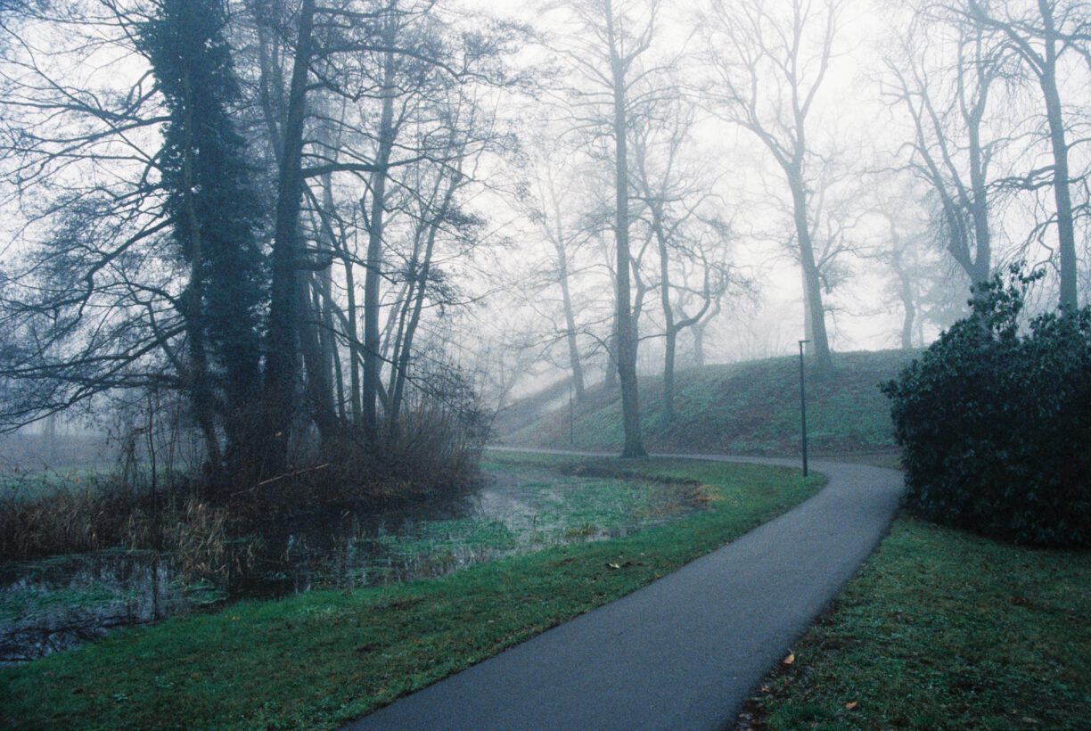 Senftenberger Stadtpark im Nebel - 2024