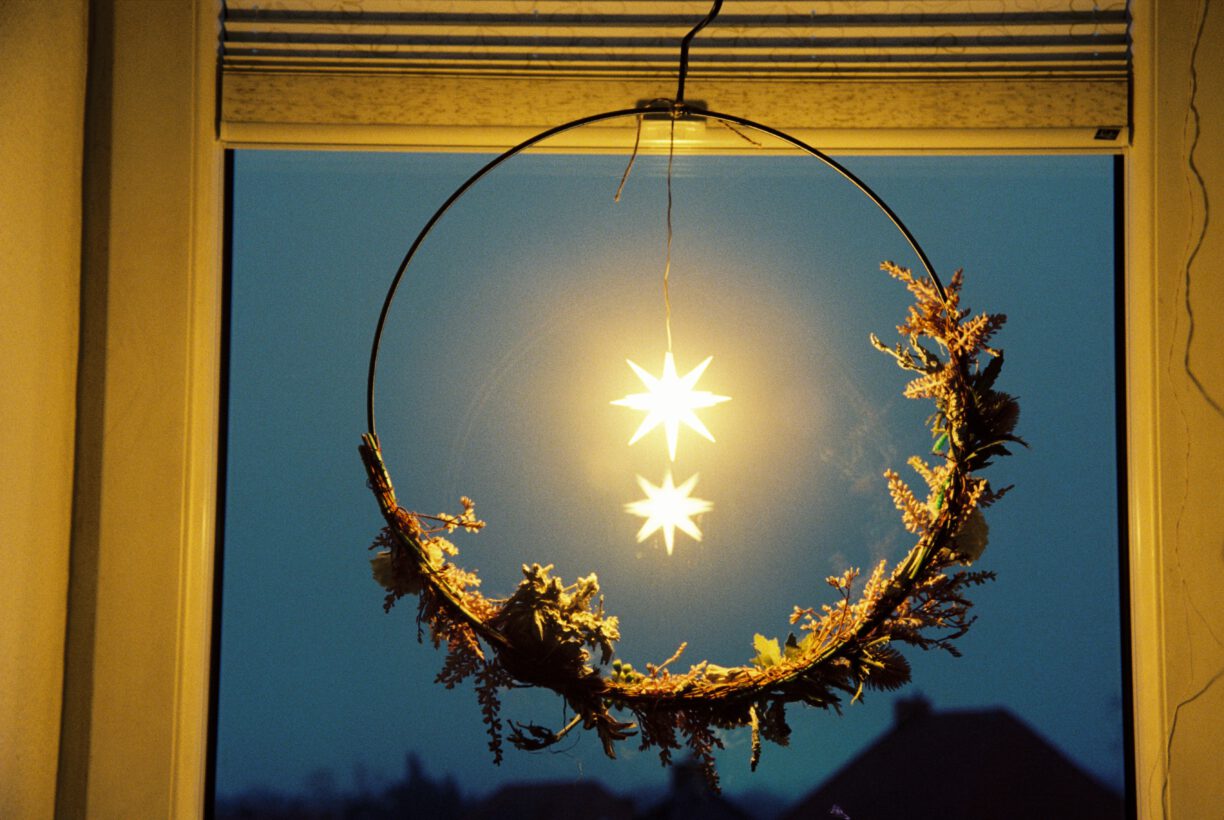 Weihnachtsstern - 2024