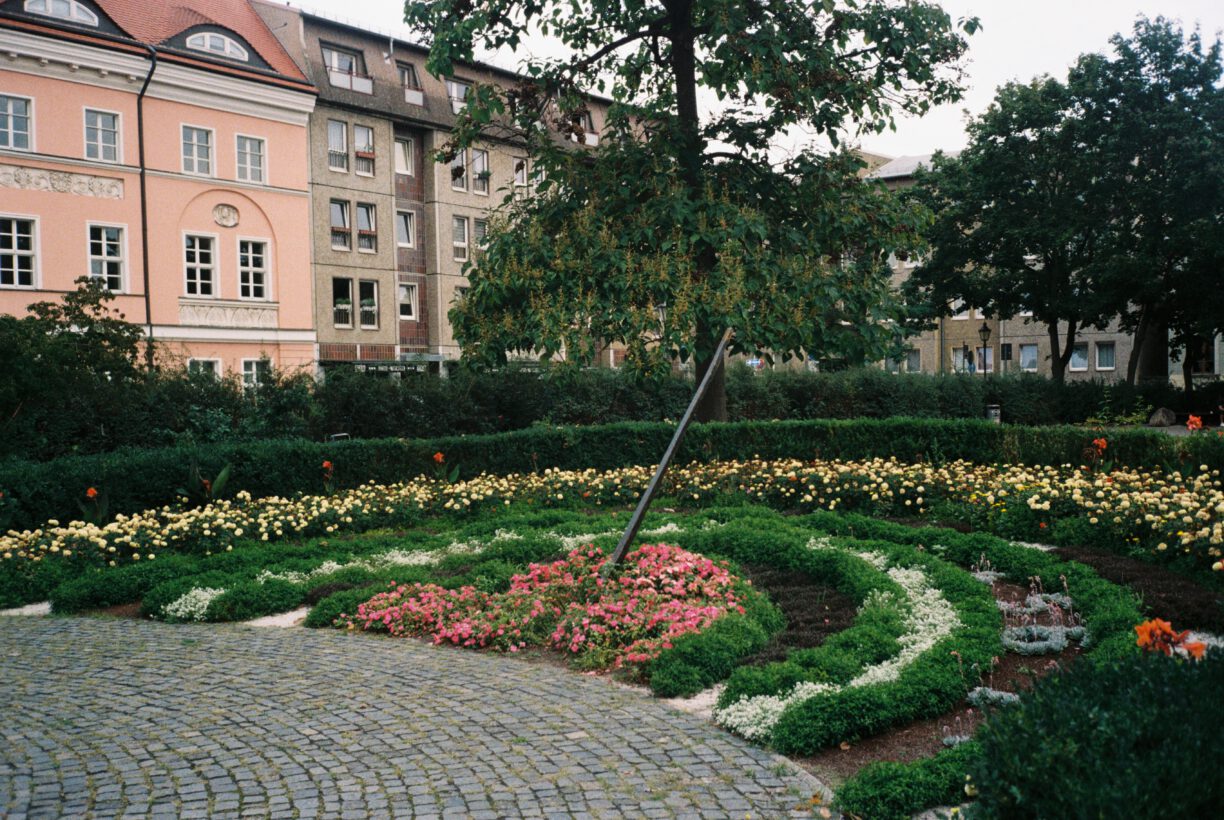 Sonnenuhr mit Blumen in Cottbus – 2024