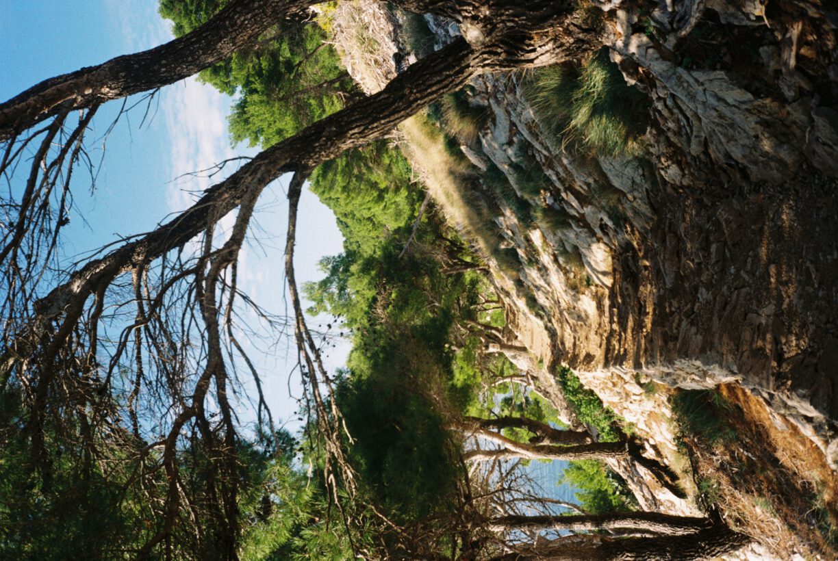 Wanderweg zum Wasser in Kroatien - 2024